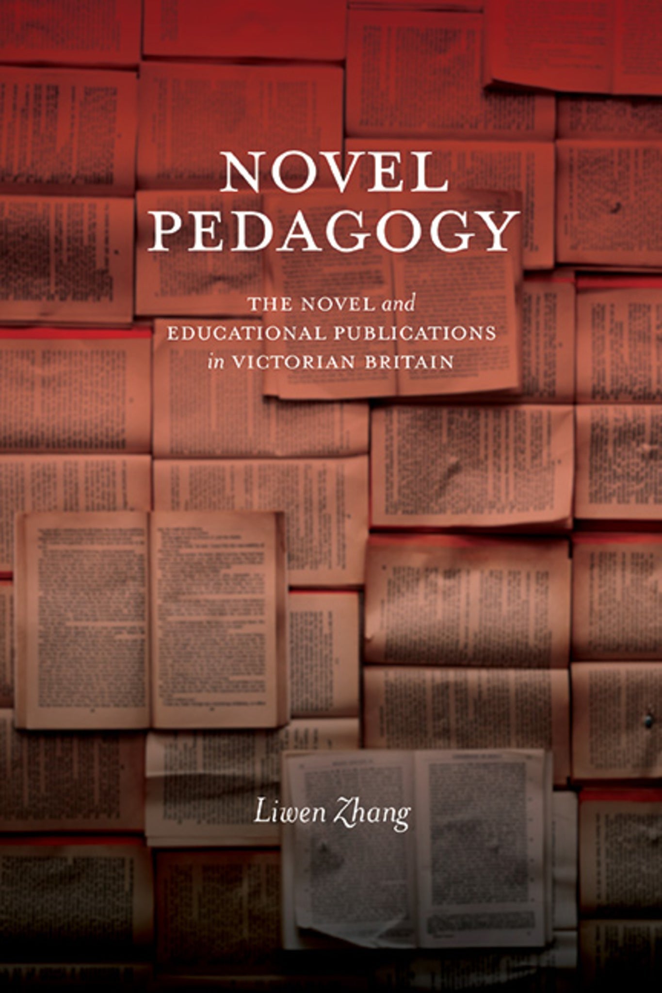 Cover image for Novel Pedagogy ISBN 9781438499741